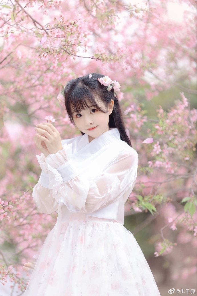 光影笔记:喜剧 · 精致